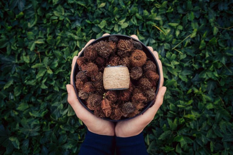 Culture et patrimoine : nourrir l’âme et maintenir l’ancrage mémoriel