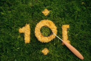 Jardinage extérieur : renouer avec la nature et cultiver la joie de vivre