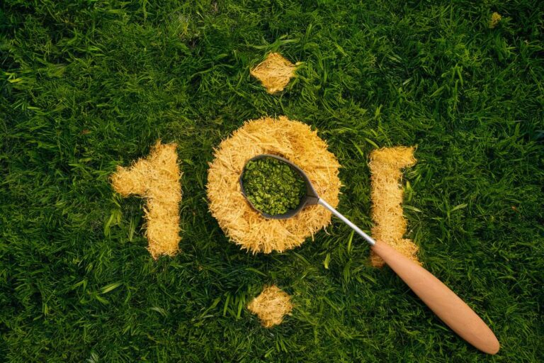 Jardinage extérieur : renouer avec la nature et cultiver la joie de vivre