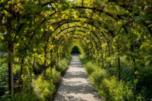Visite de jardins : émerveiller les sens et cultiver l’apaisement